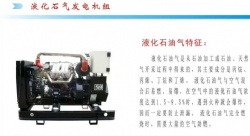 Liquefied Petroleum Gas Generator Set