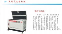 Natural Gas Generator Set